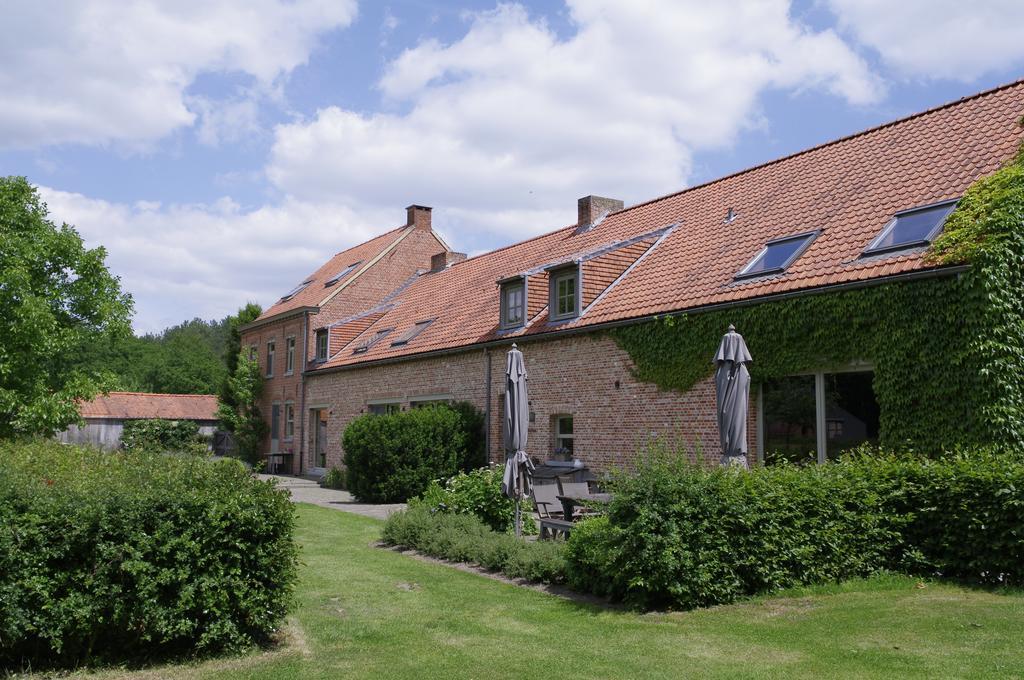 15 inn Mol Rom bilde